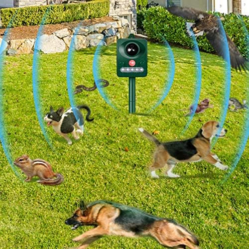 Anti barking cihazı, yanıp sönen ışık, Köpek, Kedi, sincap, Rakun, Kokarca, Tavşan, Sıçan, Köstebek, Geyik